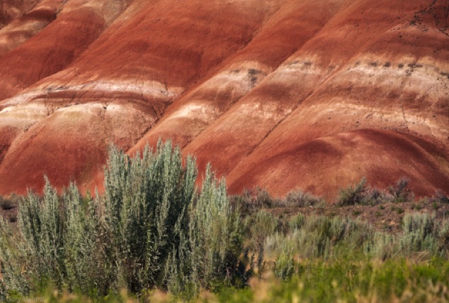 Sage / Painted Hills
Painted Hills National Park
Mitchell OR
